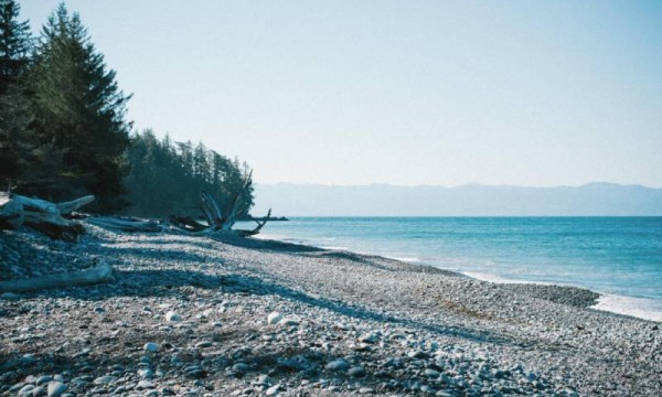 แชมพูโซดาสปาสูตรเย็น Mint Sparkling shampoo